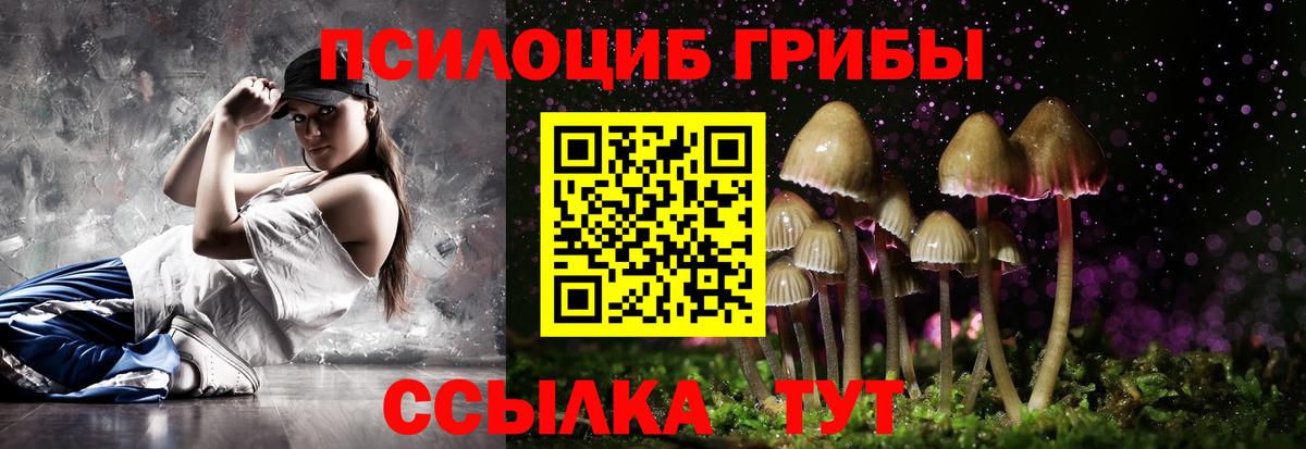Кемерово  Псилоцибиновые грибы мицелий  наркошоп  Вход с VPN 
